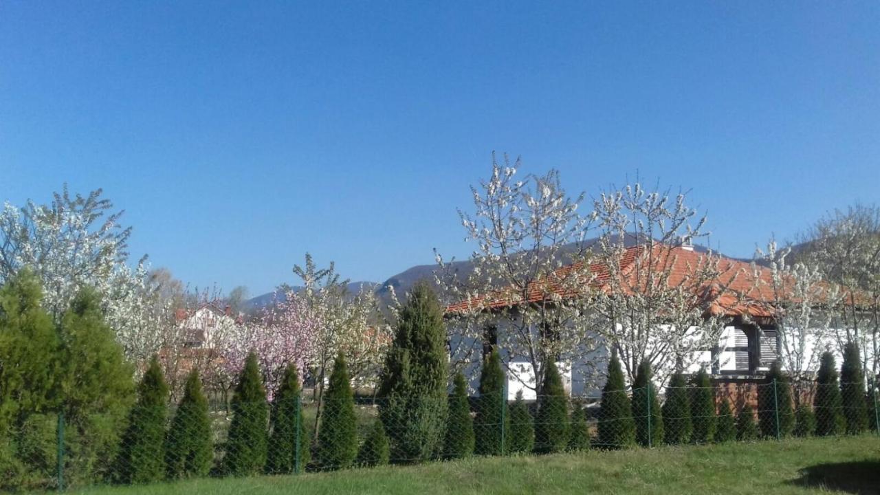 House Milovanovic Соко Баня Екстериор снимка